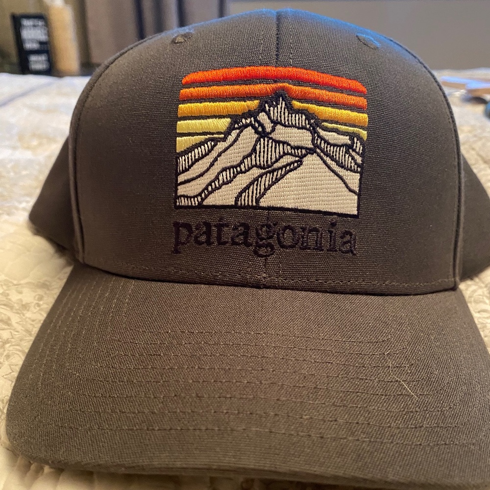 Patagonia Trucker Hat
